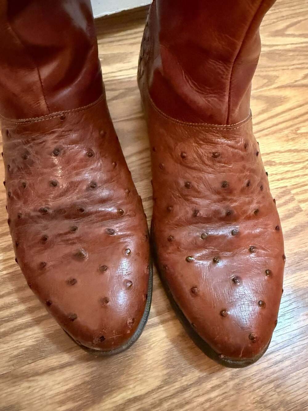 Lorenzo Banfi Milano Ostrich Leather Western Cowboy Boots size 10 M - Picture 2 of 8